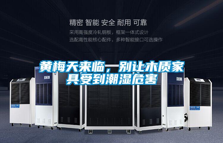 黃梅天來臨，別讓木質家具受到潮濕危害