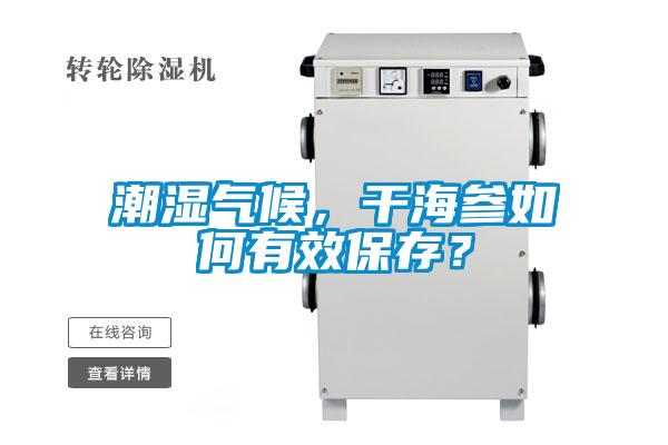 潮濕氣候，干海參如何有效保存？