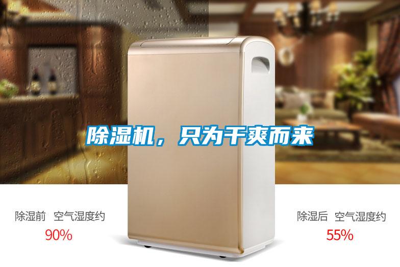 除濕機，只為干爽而來