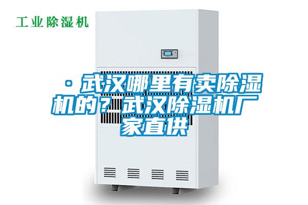 ·武漢哪里有賣除濕機(jī)的？武漢除濕機(jī)廠家直供