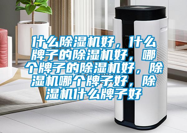 什么除濕機(jī)好，什么牌子的除濕機(jī)好，哪個(gè)牌子的除濕機(jī)好，除濕機(jī)哪個(gè)牌子好，除濕機(jī)什么牌子好