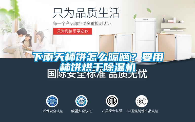 下雨天柿餅怎么晾曬？要用柿餅烘干除濕機(jī)