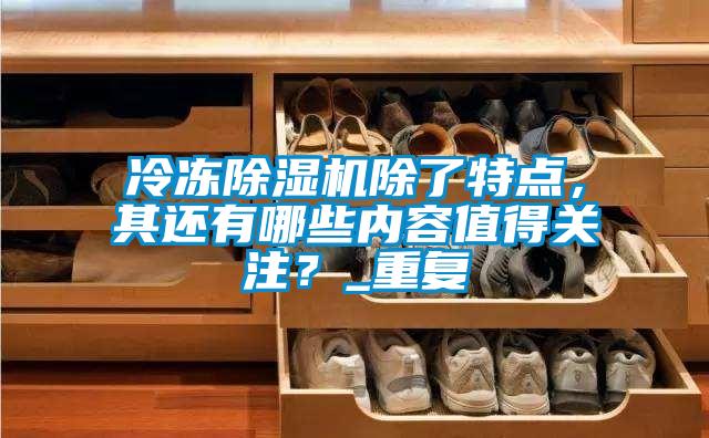 冷凍除濕機除了特點，其還有哪些內(nèi)容值得關(guān)注？_重復(fù)