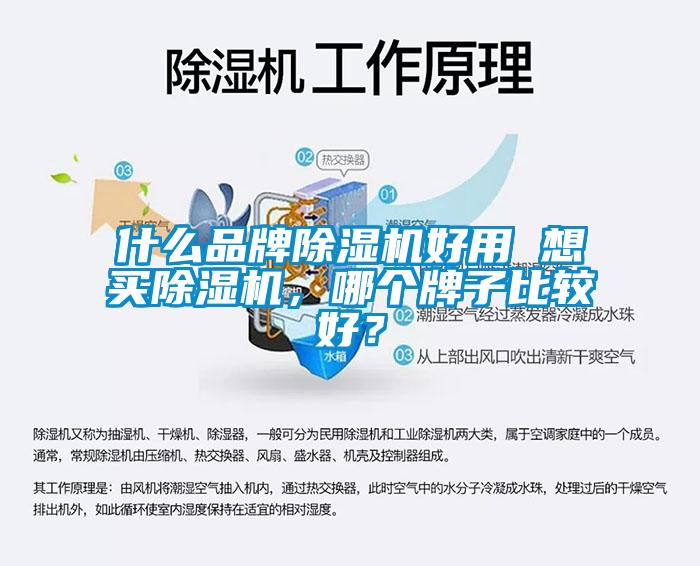 什么品牌除濕機好用 想買除濕機，哪個牌子比較好？