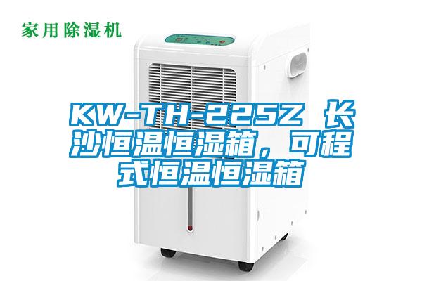 KW-TH-225Z 長(zhǎng)沙恒溫恒濕箱，可程式恒溫恒濕箱