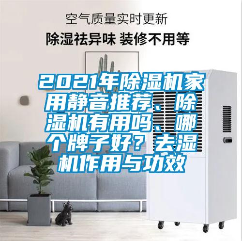 2021年除濕機家用靜音推薦、除濕機有用嗎、哪個牌子好？去濕機作用與功效