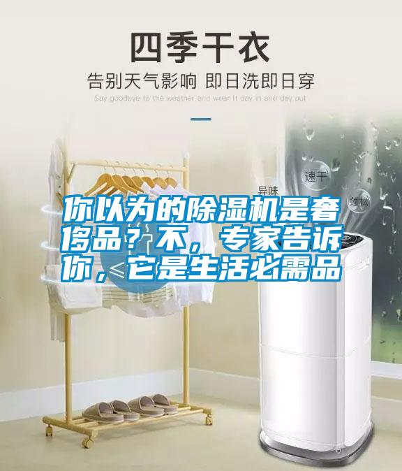 你以為的除濕機(jī)是奢侈品？不，專家告訴你，它是生活必需品