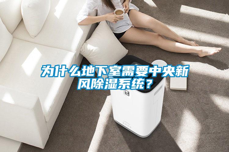 為什么地下室需要中央新風(fēng)除濕系統(tǒng)？
