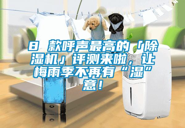 8 款呼聲最高的「除濕機(jī)」評(píng)測來啦，讓梅雨季不再有“濕”意！