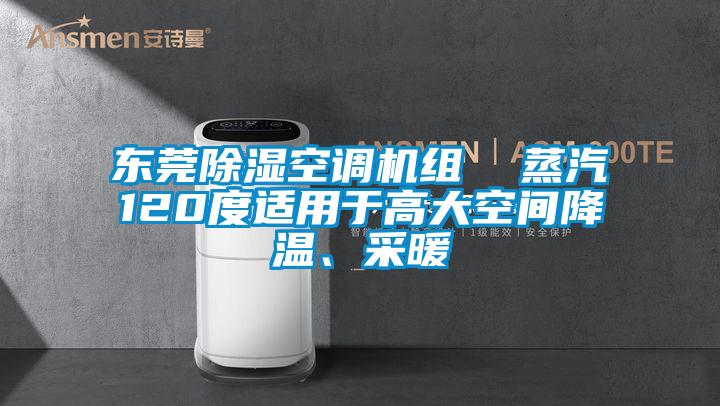 東莞除濕空調(diào)機組  蒸汽120度適用于高大空間降溫、采暖
