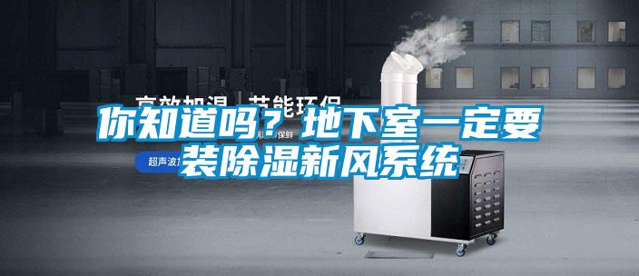 你知道嗎？地下室一定要裝除濕新風(fēng)系統(tǒng)