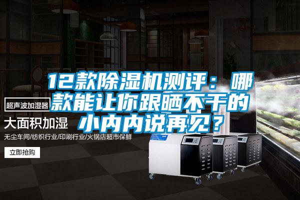 12款除濕機測評：哪款能讓你跟曬不干的小內(nèi)內(nèi)說再見？