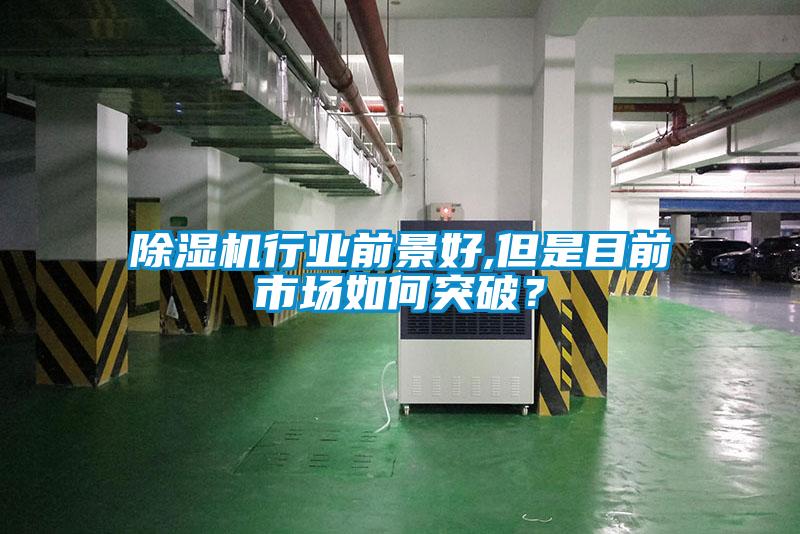 除濕機(jī)行業(yè)前景好,但是目前市場(chǎng)如何突破？
