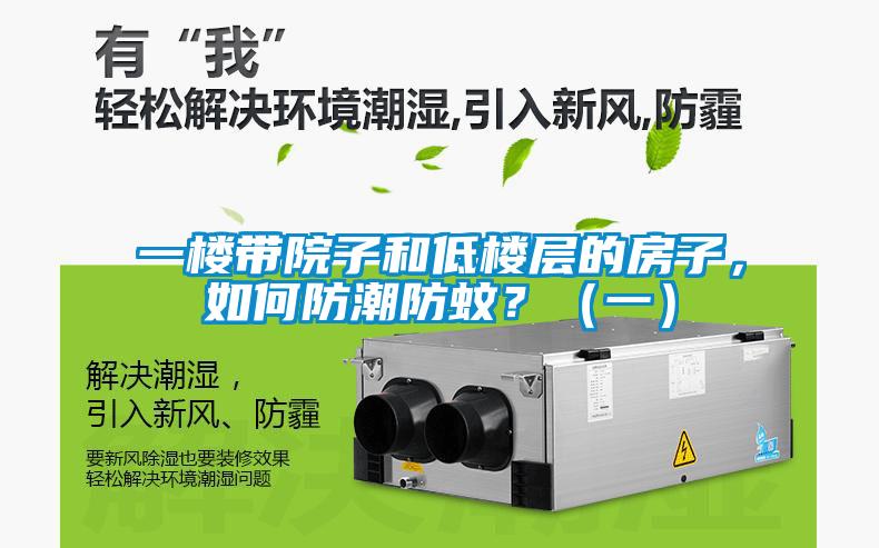 一樓帶院子和低樓層的房子，如何防潮防蚊？（一）