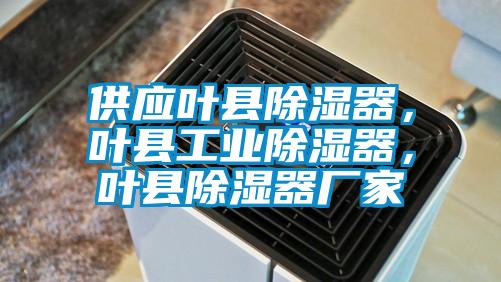 供應(yīng)葉縣除濕器，葉縣工業(yè)除濕器，葉縣除濕器廠家