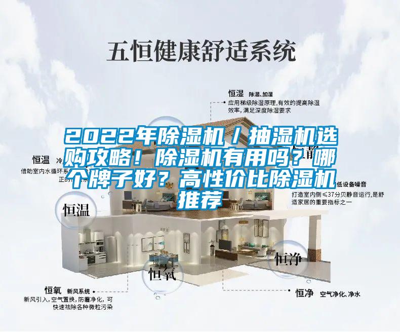 2022年除濕機／抽濕機選購攻略！除濕機有用嗎？哪個牌子好？高性價比除濕機推薦