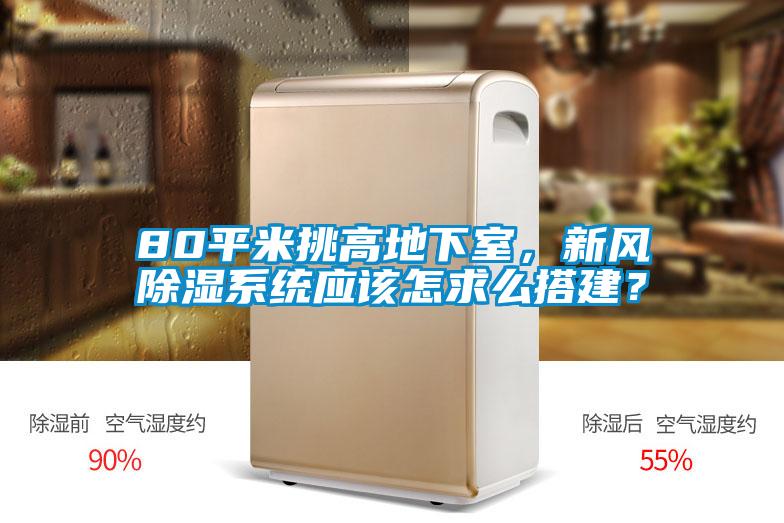 80平米挑高地下室，新風(fēng)除濕系統(tǒng)應(yīng)該怎求么搭建？