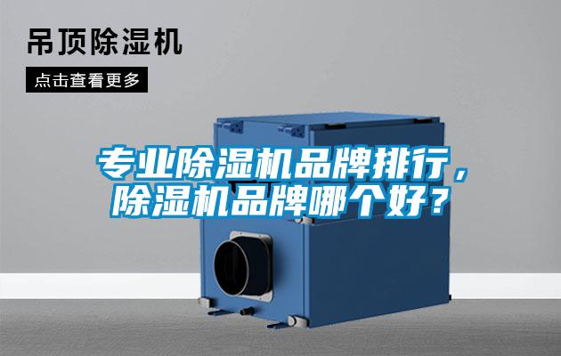 專業(yè)除濕機(jī)品牌排行，除濕機(jī)品牌哪個(gè)好？
