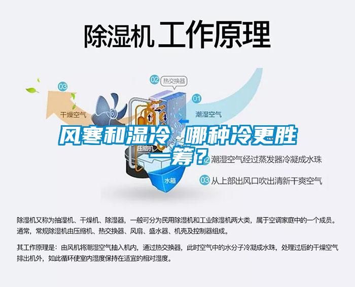 風(fēng)寒和濕冷 哪種冷更勝一籌？