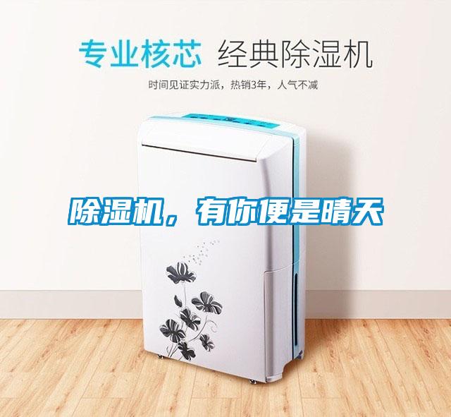 除濕機，有你便是晴天