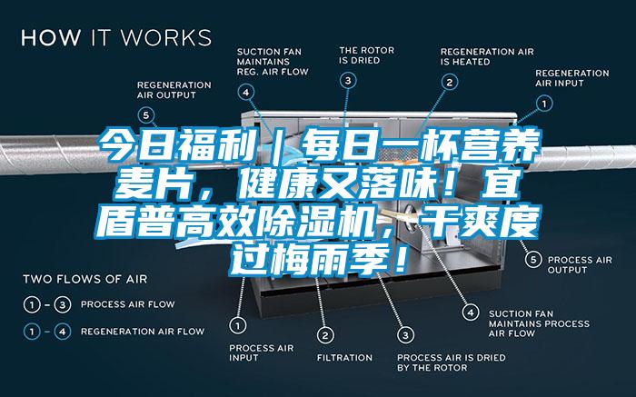 今日福利｜每日一杯營養(yǎng)麥片，健康又落味！宜盾普高效除濕機(jī)，干爽度過梅雨季！