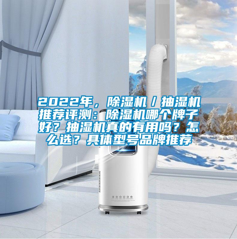 2022年，除濕機／抽濕機推薦評測：除濕機哪個牌子好？抽濕機真的有用嗎？怎么選？具體型號品牌推薦