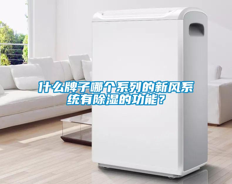 什么牌子哪個(gè)系列的新風(fēng)系統(tǒng)有除濕的功能？