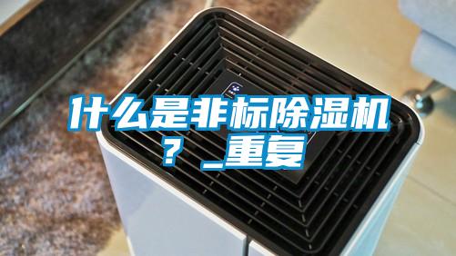 什么是非標除濕機？_重復