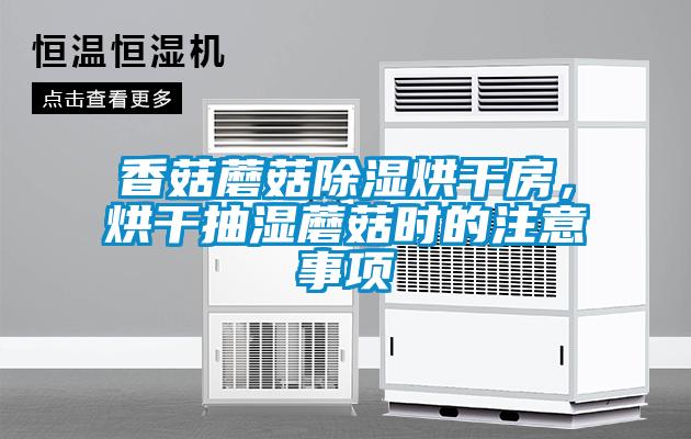 香菇蘑菇除濕烘干房，烘干抽濕蘑菇時(shí)的注意事項(xiàng)