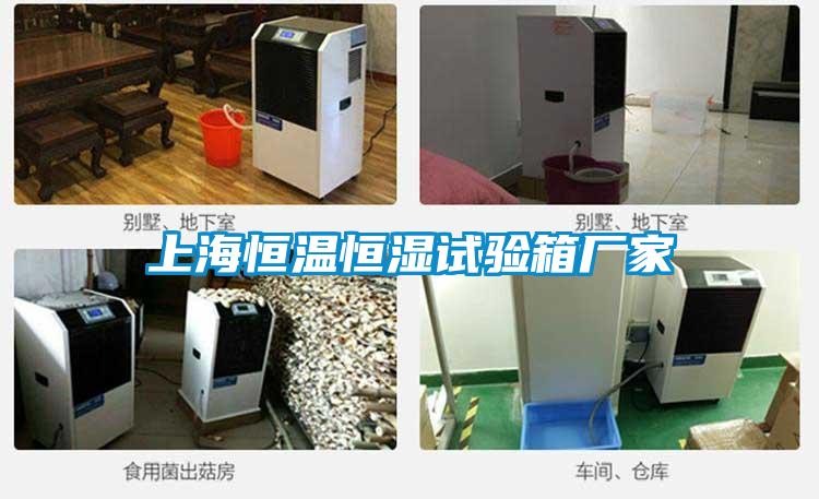 上海恒溫恒濕試驗(yàn)箱廠(chǎng)家