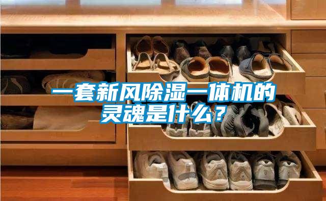 一套新風(fēng)除濕一體機(jī)的靈魂是什么？
