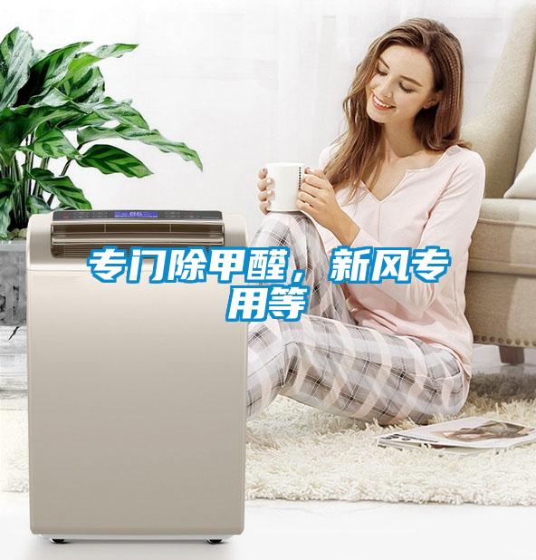 專門除甲醛，新風專用等