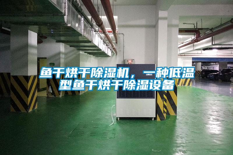 魚干烘干除濕機，一種低溫型魚干烘干除濕設備