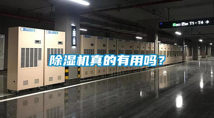 除濕機真的有用嗎？
