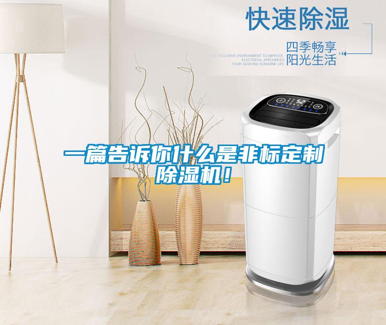 一篇告訴你什么是非標(biāo)定制除濕機(jī)！
