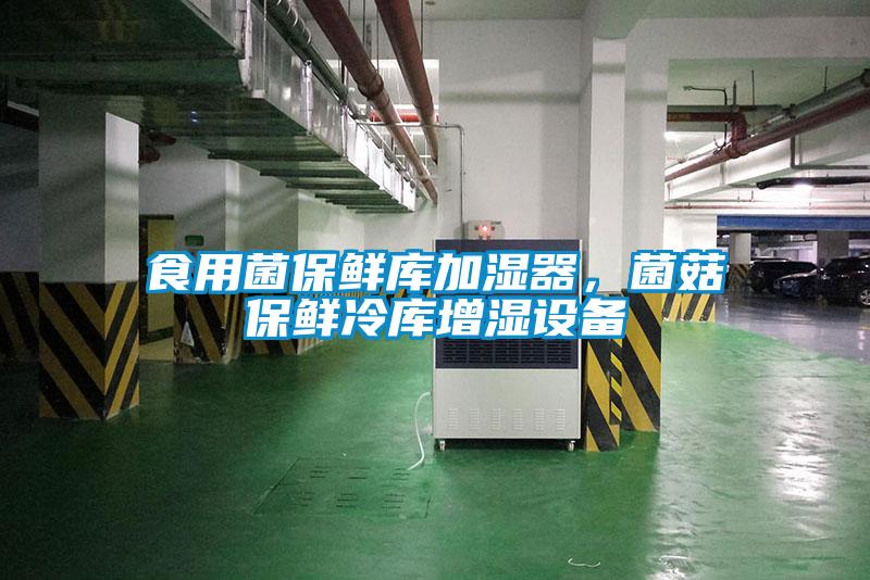 食用菌保鮮庫加濕器，菌菇保鮮冷庫增濕設(shè)備