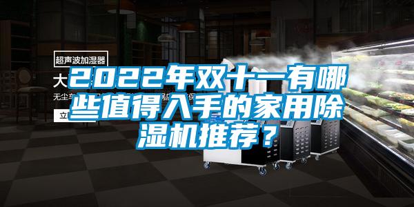 2022年雙十一有哪些值得入手的家用除濕機(jī)推薦？