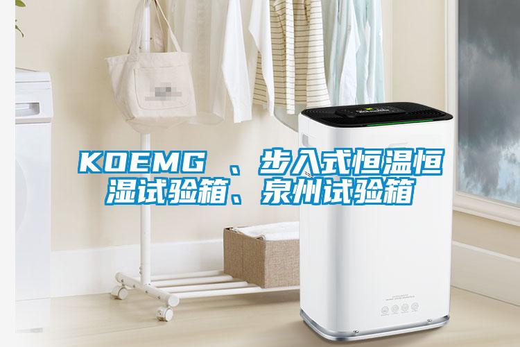 KOEMG 、步入式恒溫恒濕試驗(yàn)箱、泉州試驗(yàn)箱