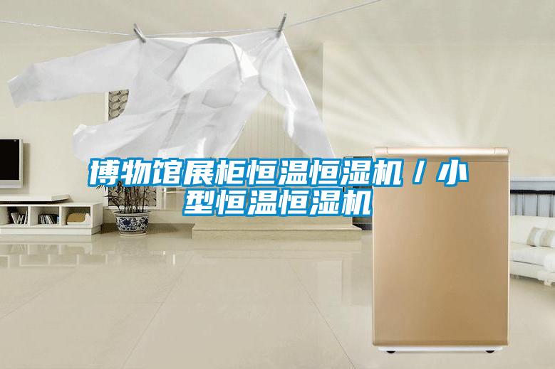 博物館展柜恒溫恒濕機(jī)/小型恒溫恒濕機(jī)