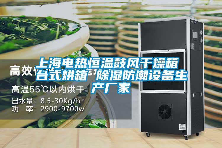 上海電熱恒溫鼓風(fēng)干燥箱 臺(tái)式烘箱 除濕防潮設(shè)備生產(chǎn)廠(chǎng)家