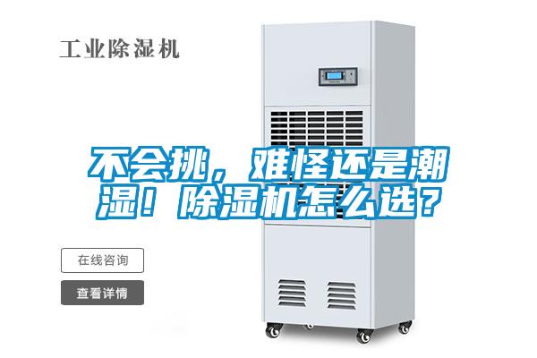 不會(huì)挑，難怪還是潮濕！除濕機(jī)怎么選？