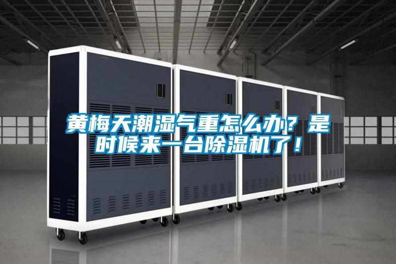 黃梅天潮濕氣重怎么辦？是時候來一臺除濕機(jī)了！