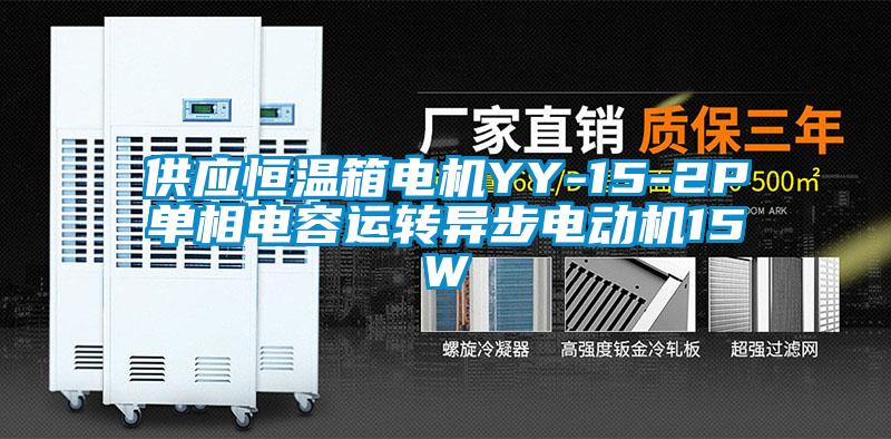 供應恒溫箱電機YY-15-2P單相電容運轉(zhuǎn)異步電動機15W