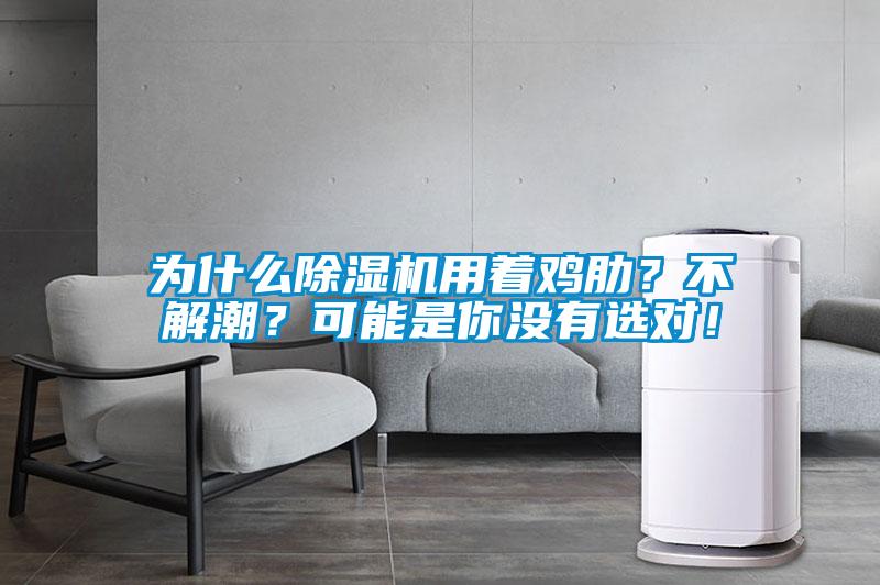 為什么除濕機(jī)用著雞肋？不解潮？可能是你沒有選對！