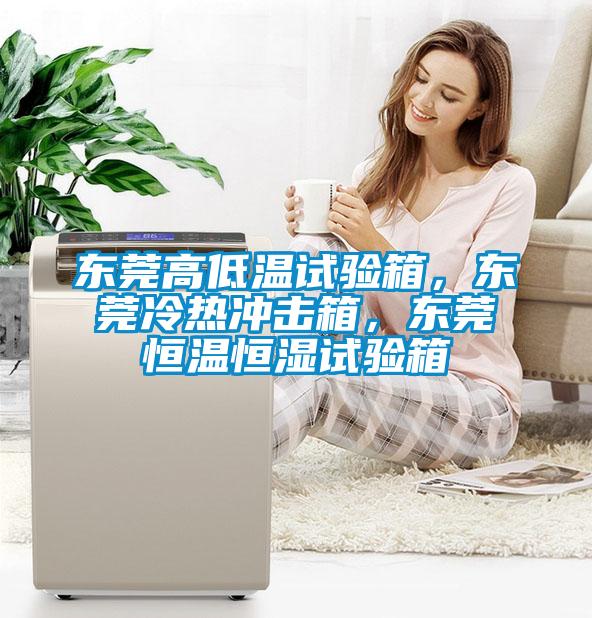 東莞高低溫試驗(yàn)箱，東莞冷熱沖擊箱，東莞恒溫恒濕試驗(yàn)箱