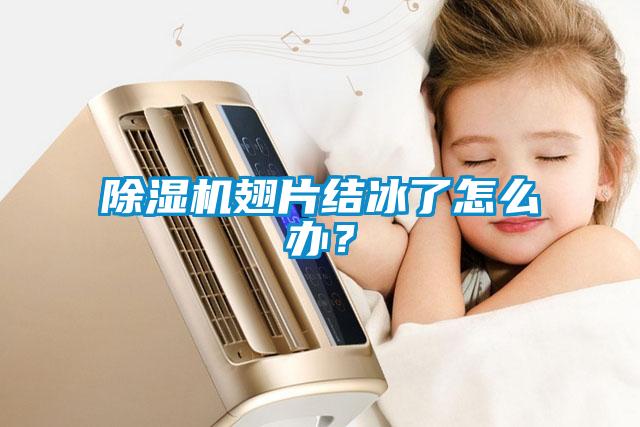 除濕機翅片結(jié)冰了怎么辦？