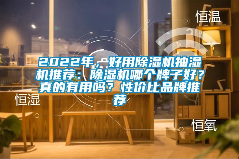 2022年，好用除濕機(jī)抽濕機(jī)推薦：除濕機(jī)哪個(gè)牌子好？真的有用嗎？性價(jià)比品牌推薦