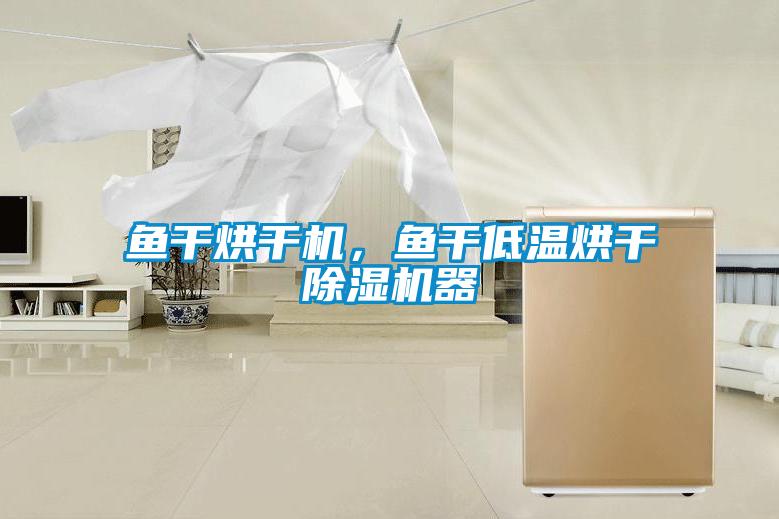 魚干烘干機，魚干低溫烘干除濕機器