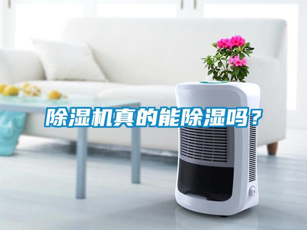 除濕機真的能除濕嗎？