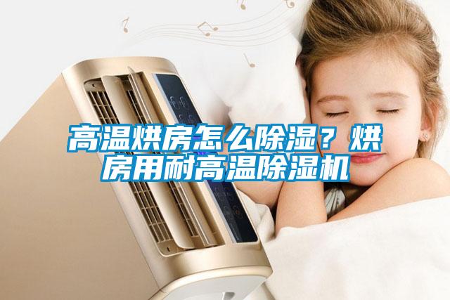 高溫烘房怎么除濕？烘房用耐高溫除濕機